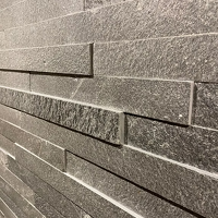 /images/teaser//small-alta rcokstripe.png